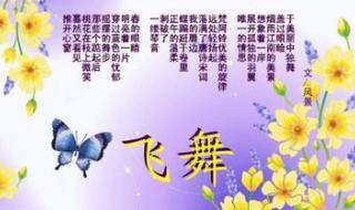 蝴蝶飞舞写一组连续的动作 蝴蝶飞舞写一组连续的动作